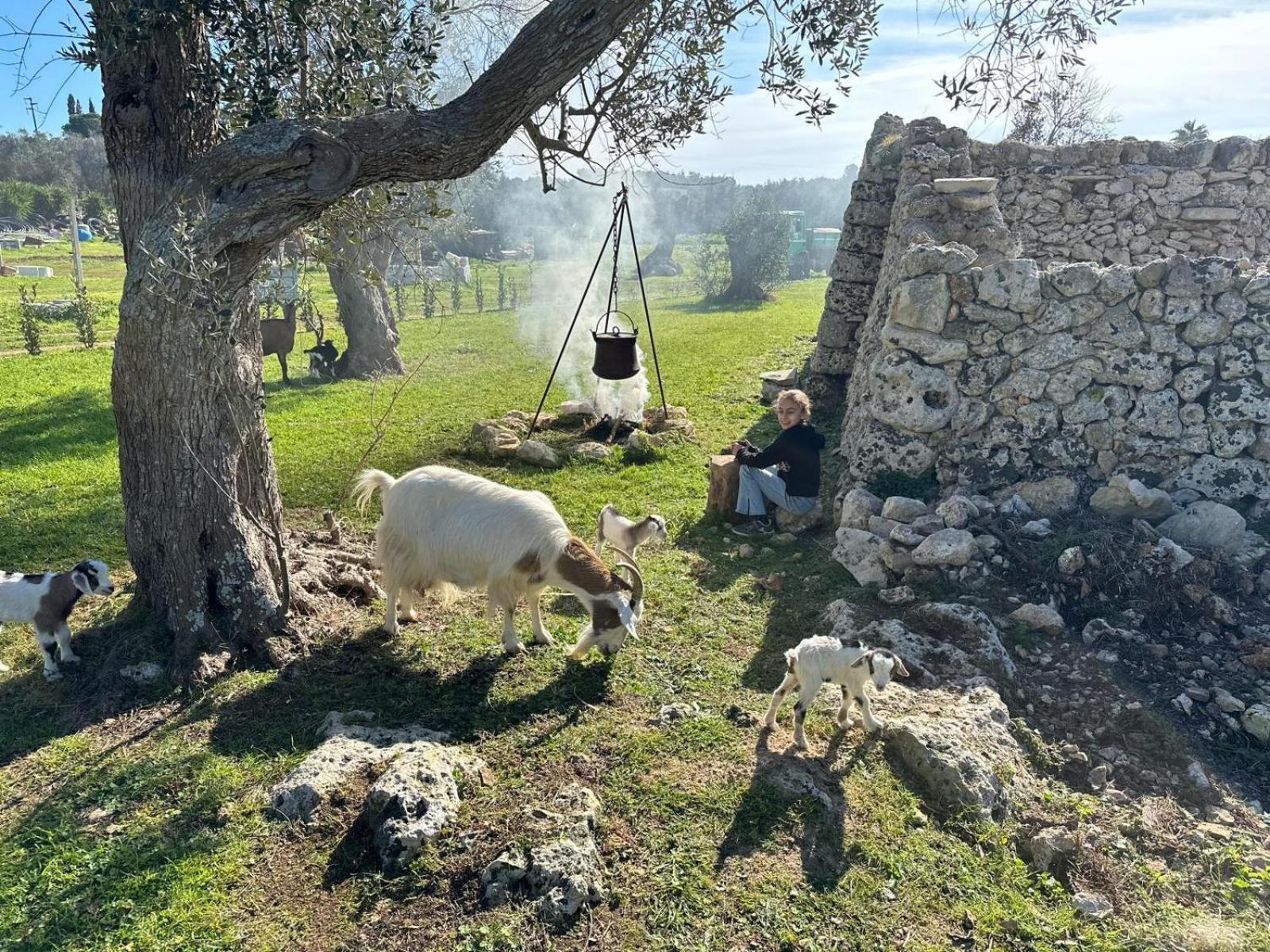 Tenuta Cursano Santa Cesarea Terme Exteriör bild
